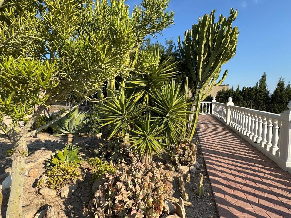 Villa i Albatera, Alicante - foto 5