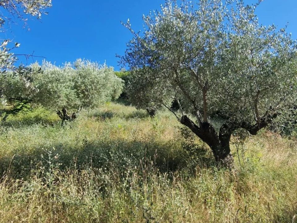 Terra a Montesilvano Marina, Pescara - foto 1