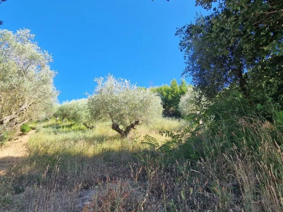 Terra a Montesilvano Marina, Pescara - foto 2