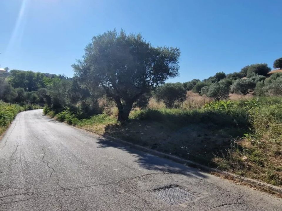 Terra a Montesilvano Marina, Pescara - foto 3