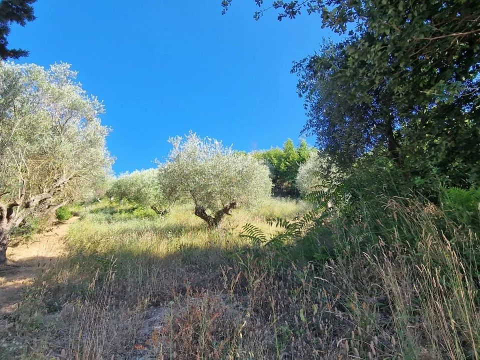 Terra a Montesilvano Marina, Pescara - foto 4