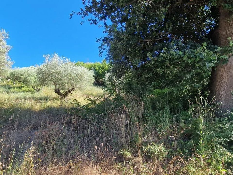 Terra a Montesilvano Marina, Pescara - foto 5