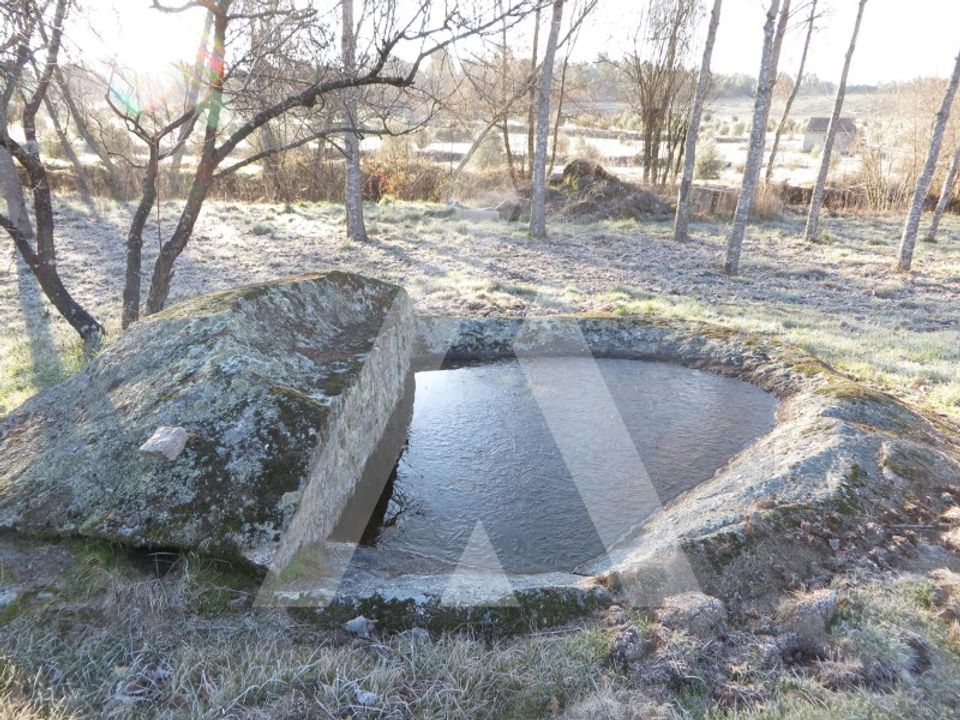 Farm i Santar e Moreira, Viseu - foto 4