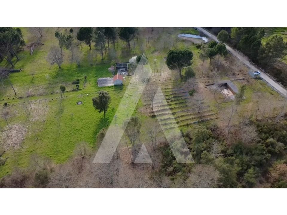 Farm i Santar e Moreira, Viseu - foto 2