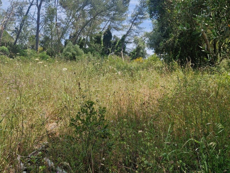 Helårsgrund i Brejos de Azeitao, Setubal - foto 5