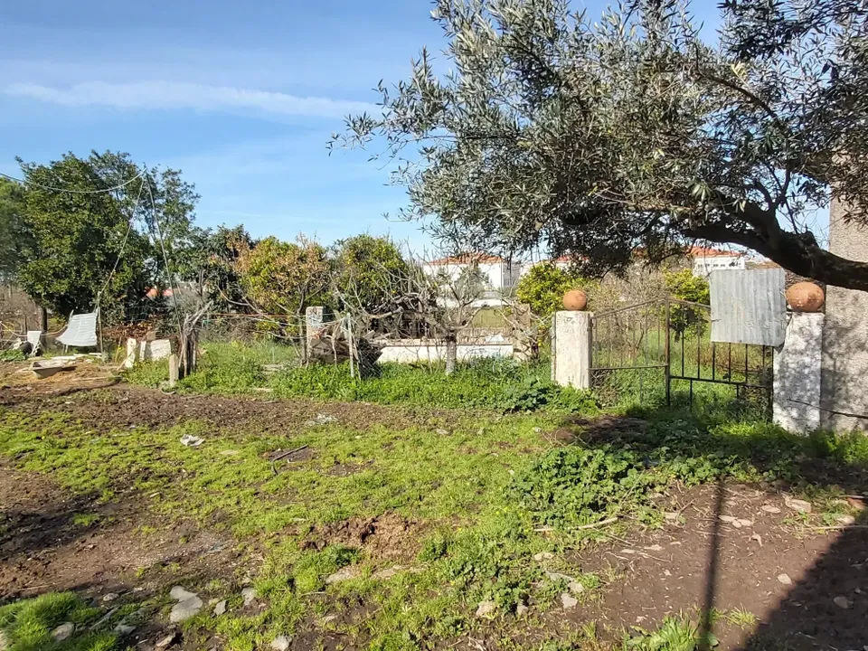 Helårsgrund i Moura, Beja - foto 4