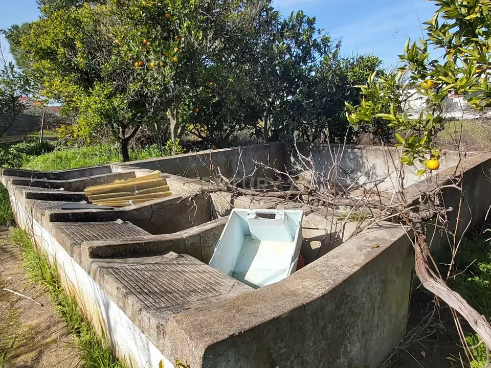 Helårsgrund i Moura, Beja - foto 5