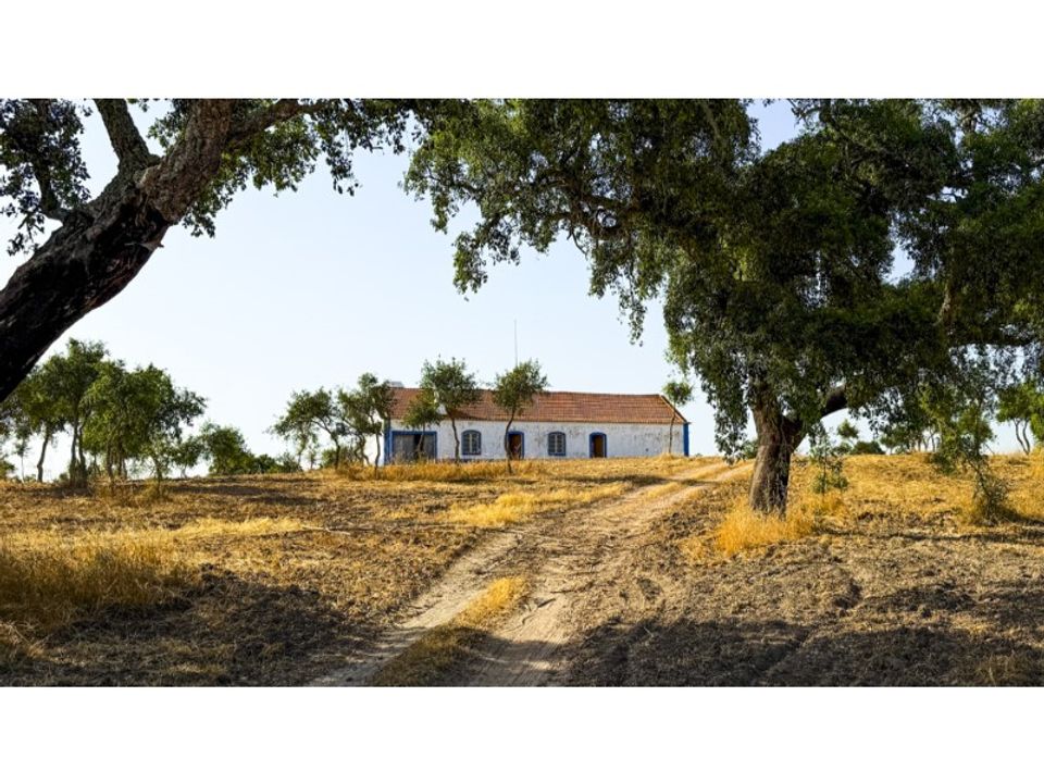 Masia a Sines, Setubal - foto 4