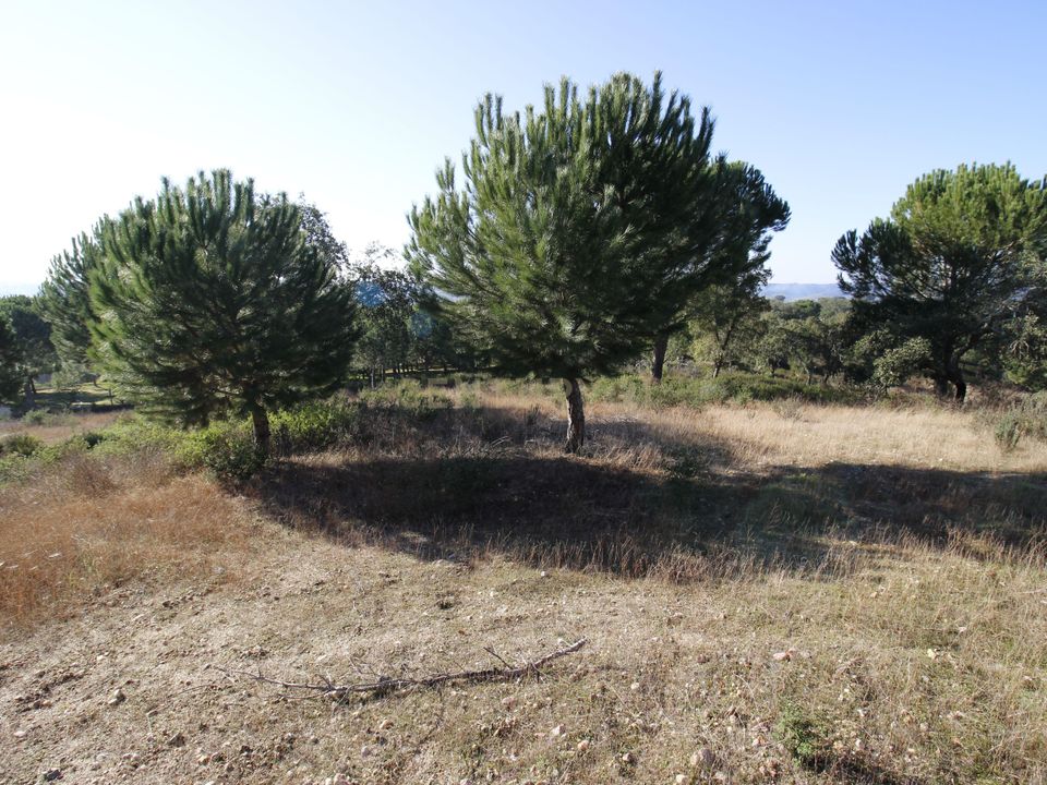 Masia a Mora, Evora - foto 3