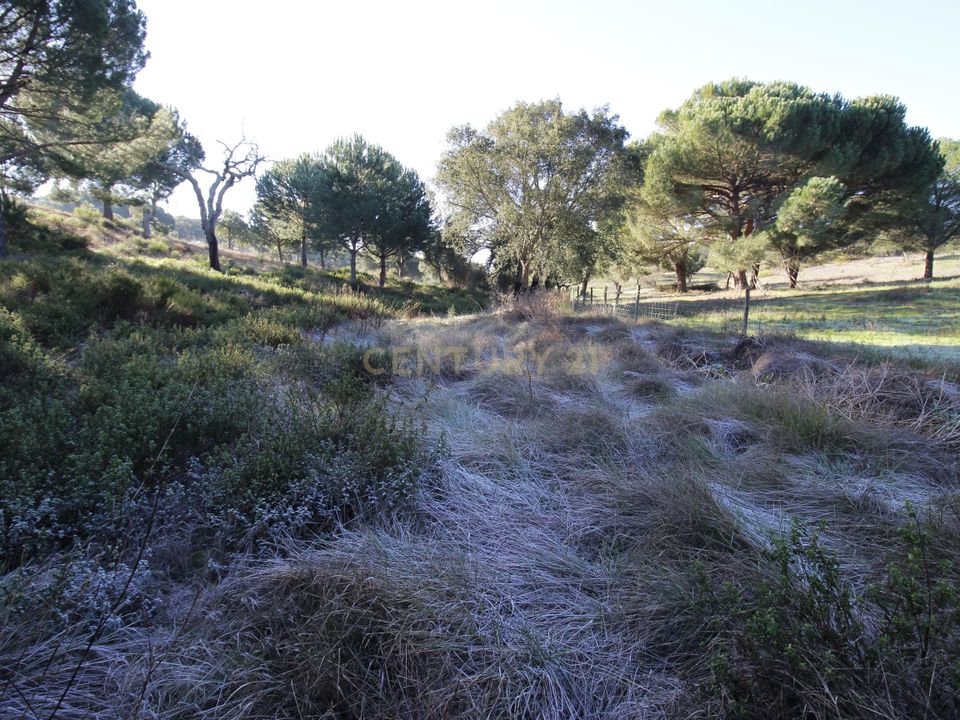 Masia a Mora, Evora - foto 4