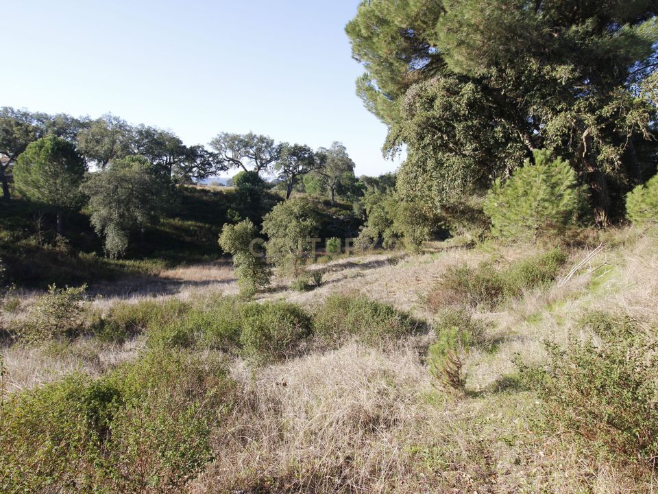 Masia a Mora, Evora - foto 5