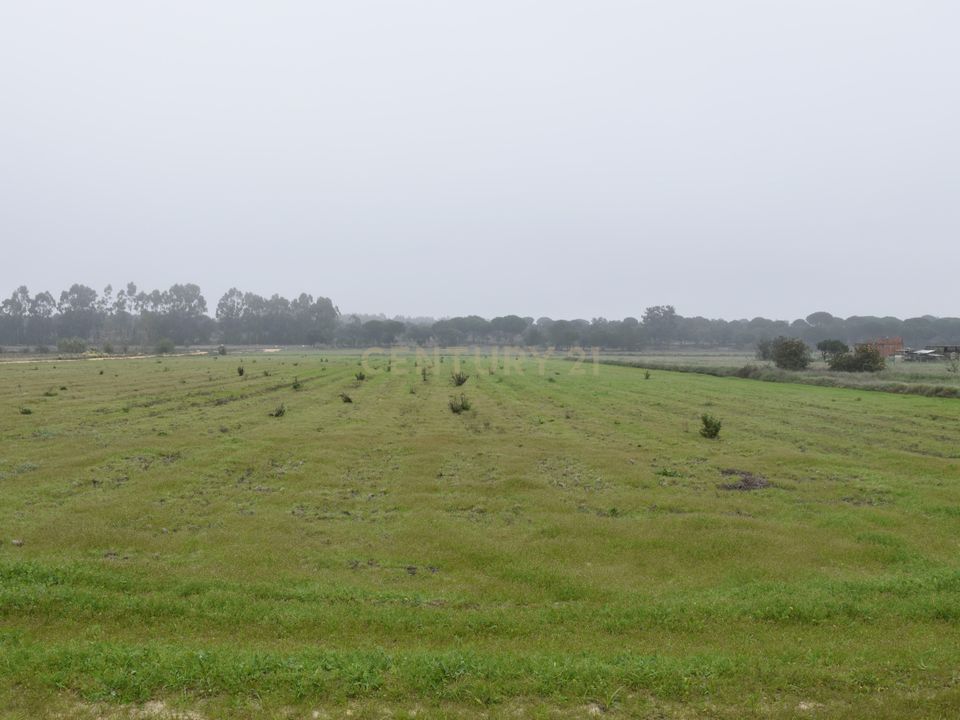 Helårsgrund i Coruche, Santarem - foto 2