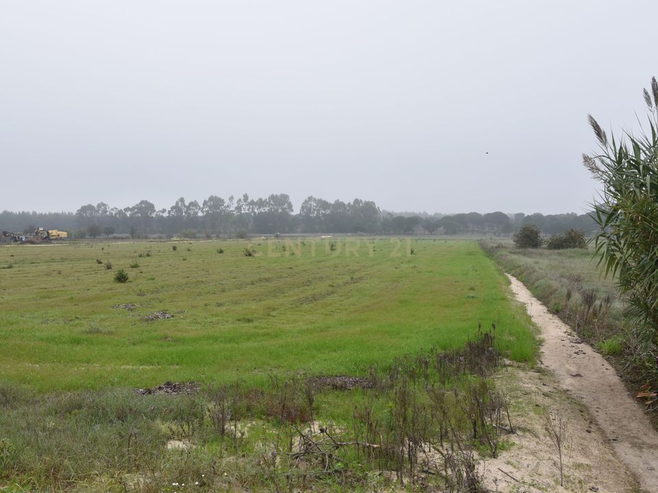 Helårsgrund i Coruche, Santarem - foto 4