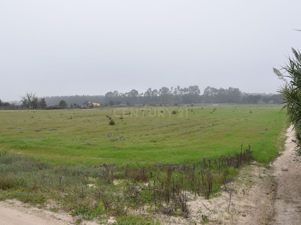 Helårsgrund i Coruche, Santarem - foto 5