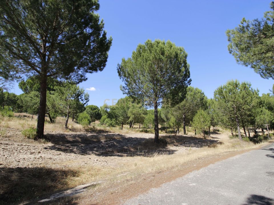 Farm hus i Mora, Evora - foto 1