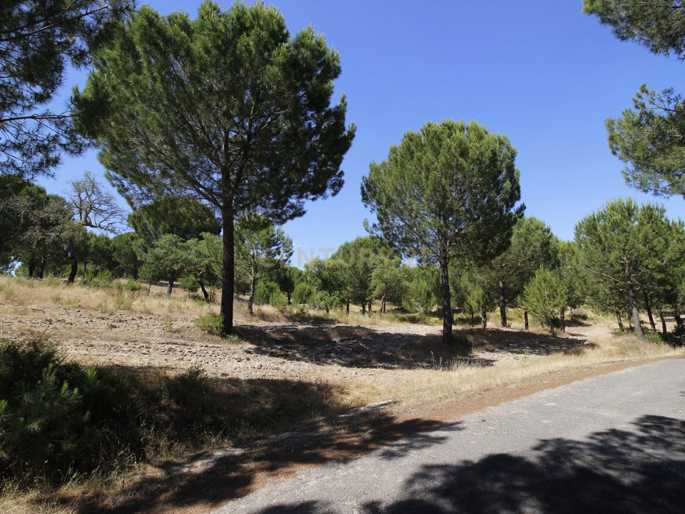 Farm hus i Mora, Evora - foto 2