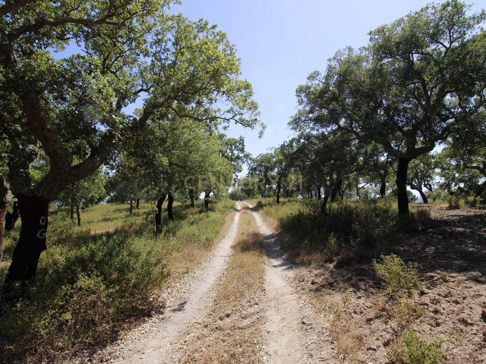 Farm hus i Mora, Evora - foto 3