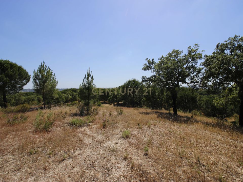 Farm hus i Mora, Evora - foto 4