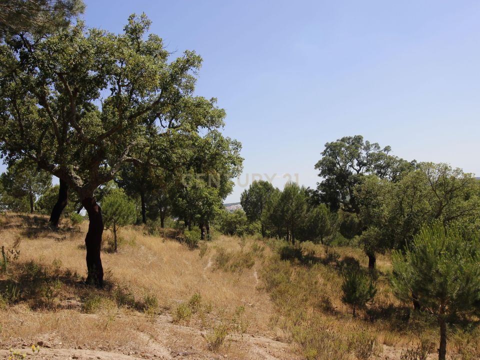 Farm hus i Mora, Evora - foto 5