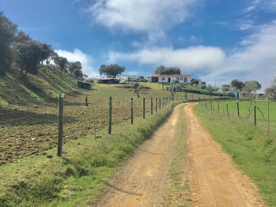 Villa i Sousel, Portalegre - foto 1