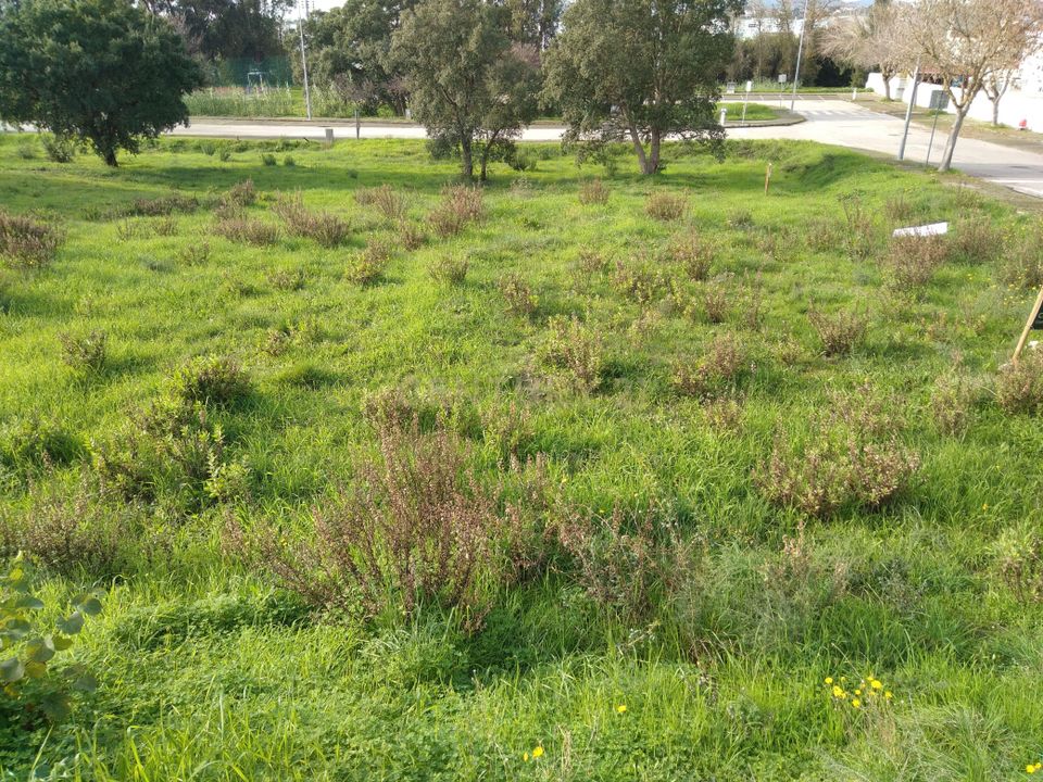 Helårsgrund i Entroncamento, Santarem - foto 4