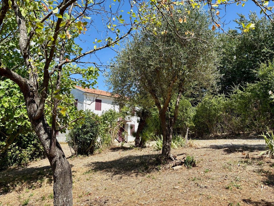 Villa i Belvedere Ostrense, Ancona - foto 2