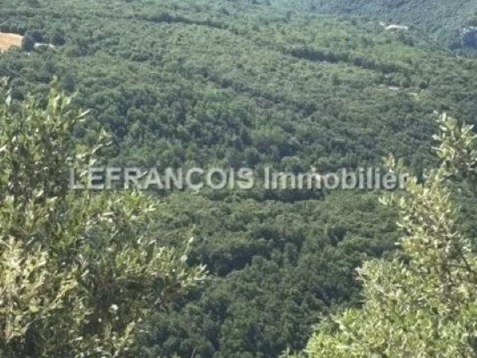 Helårsgrund i Mons, Var - foto 1