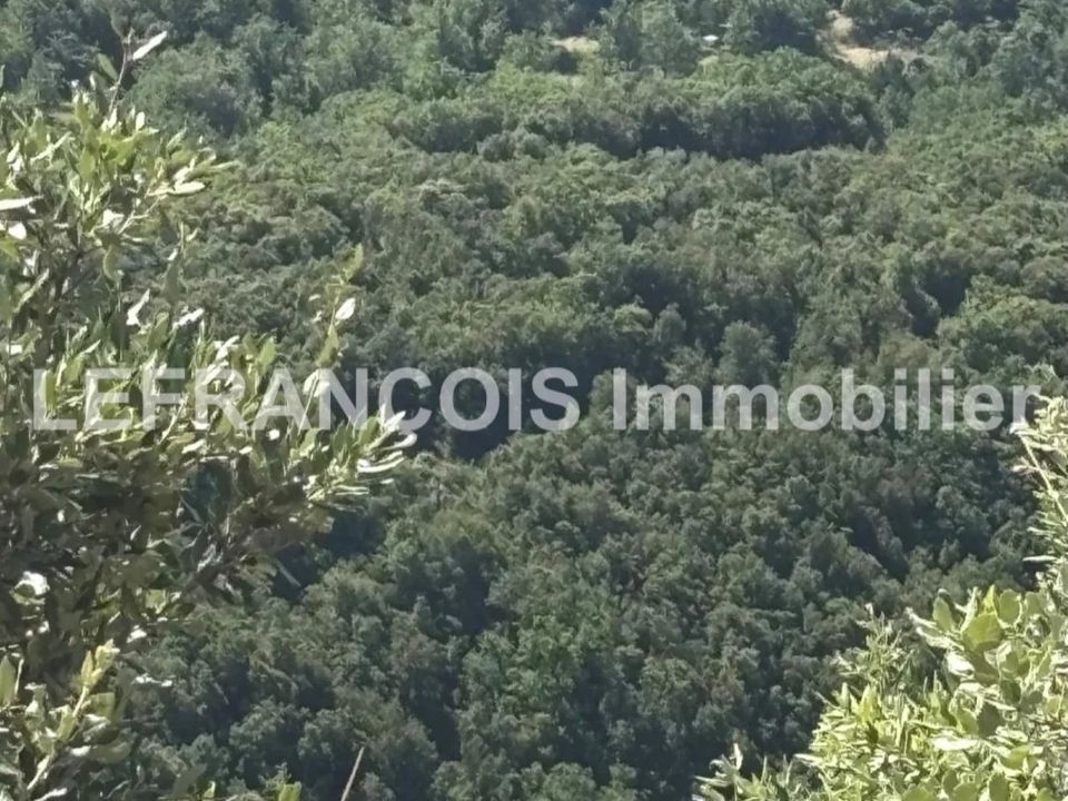 Helårsgrund i Mons, Var - foto 2