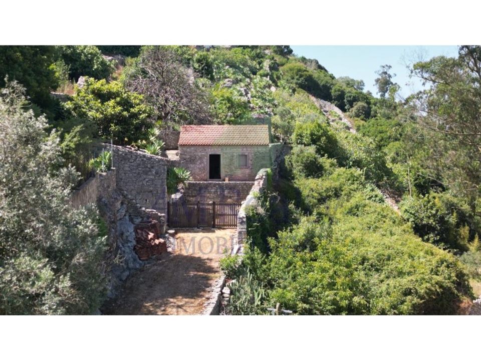 Helårsgrund i Lourinha, Lisbon - foto 2