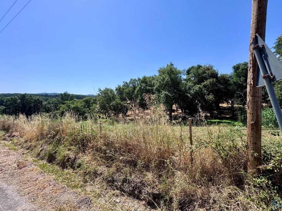 Helårsgrund i Casais e Alviobeira, Santarem - foto 3