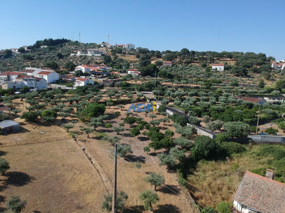 Farm hus i Castelo Branco, Castelo Branco - foto 4