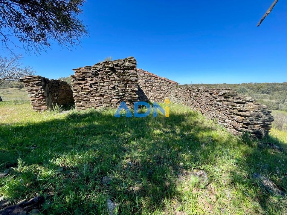 Helårsgrund i Rosmaninhal, Castelo Branco - foto 2