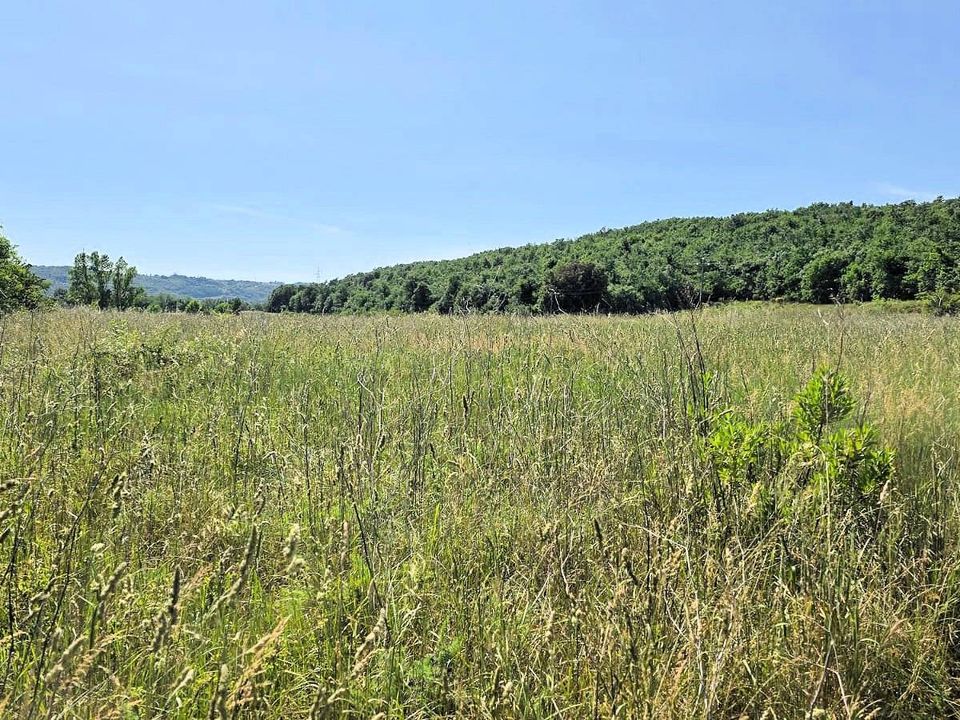 Farm i Massa Marittima, Grosseto - foto 1