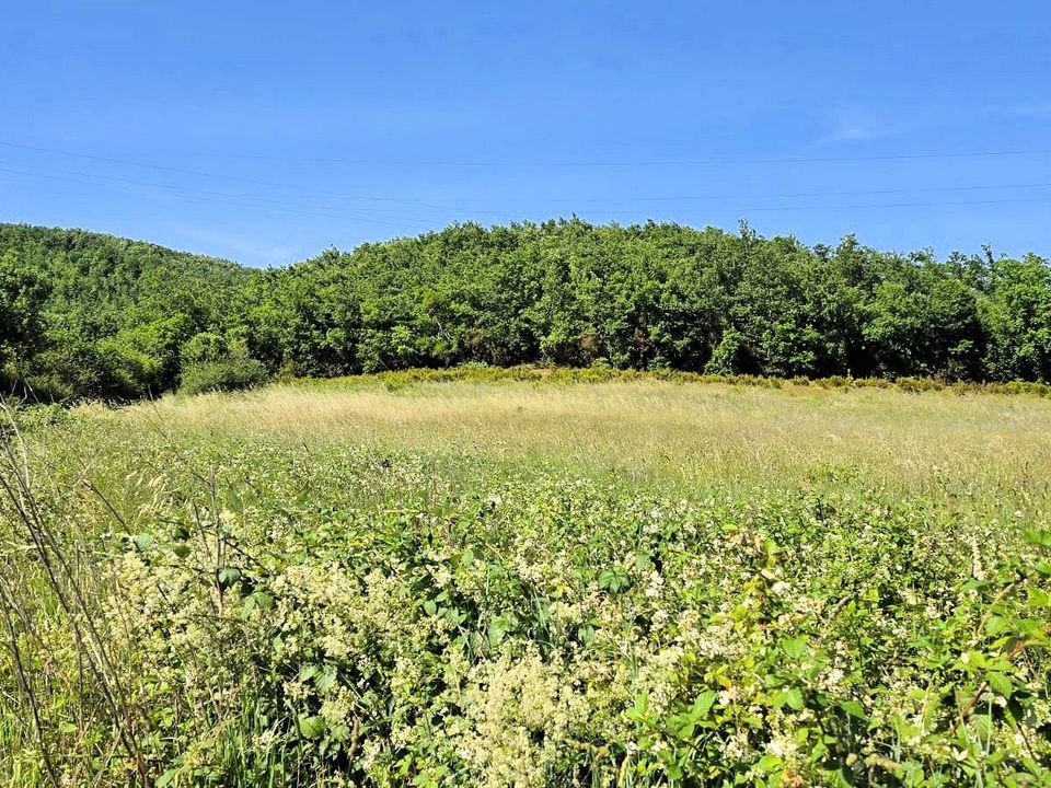 Farm i Massa Marittima, Grosseto - foto 2