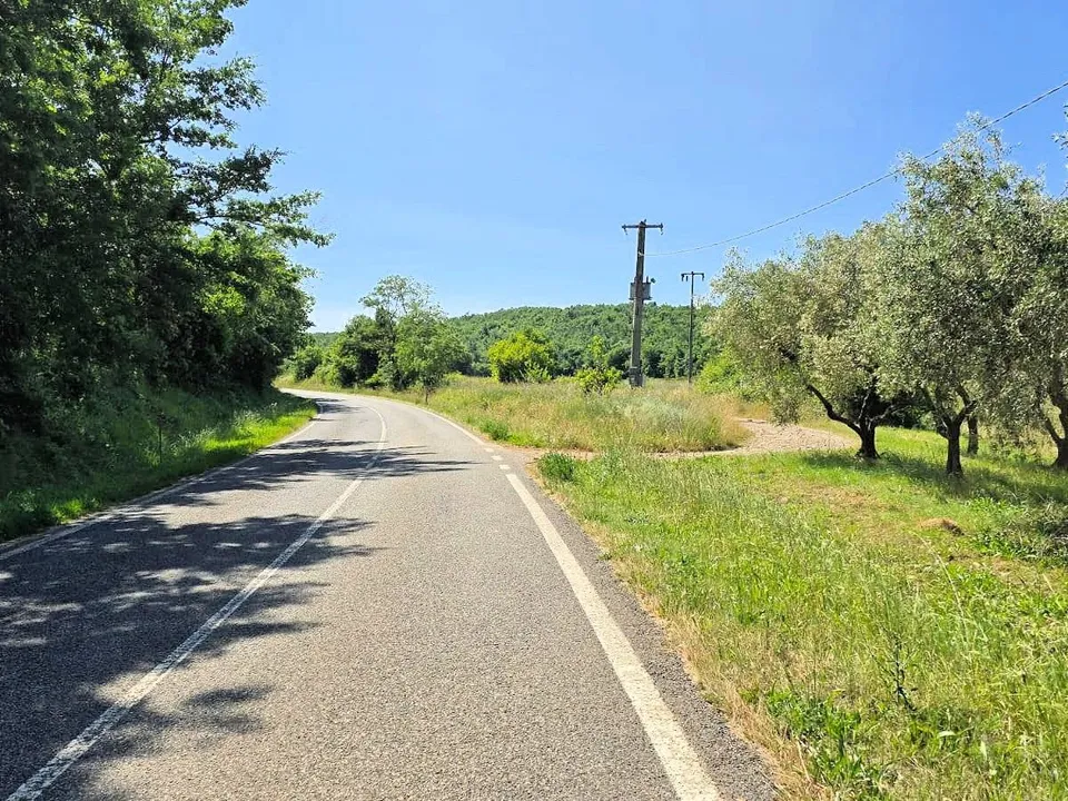 Farm i Massa Marittima, Grosseto - foto 4
