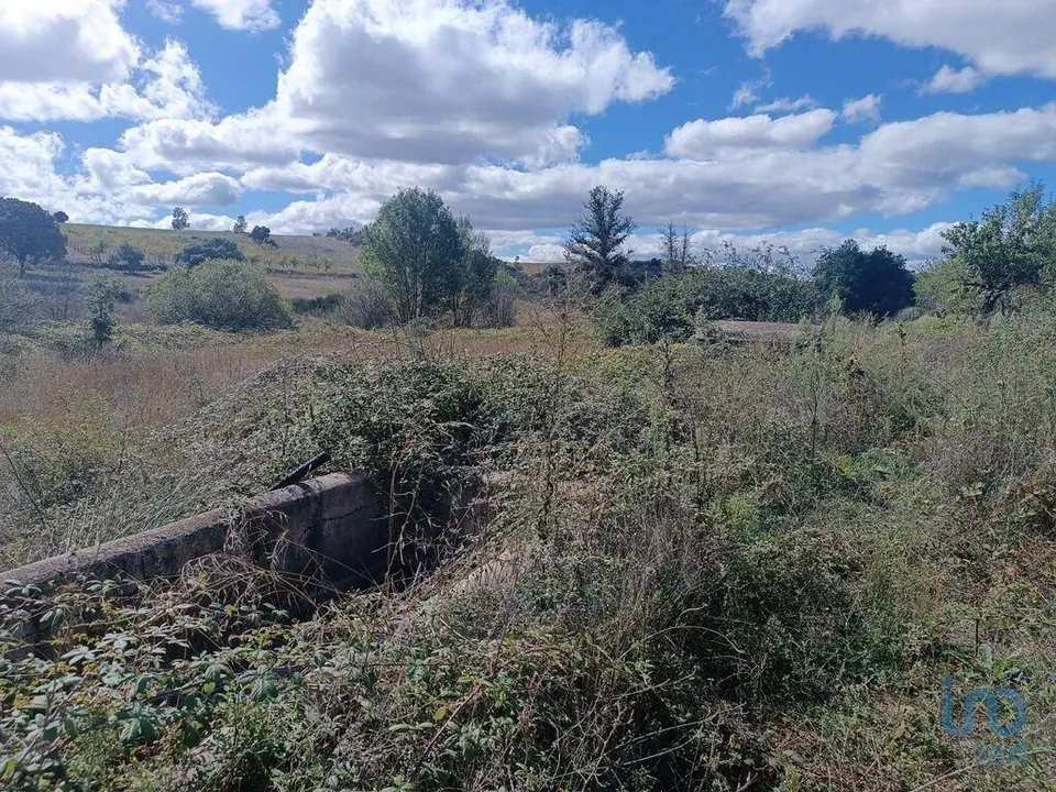 Helårsgrund i Mogadouro, Braganca - foto 2