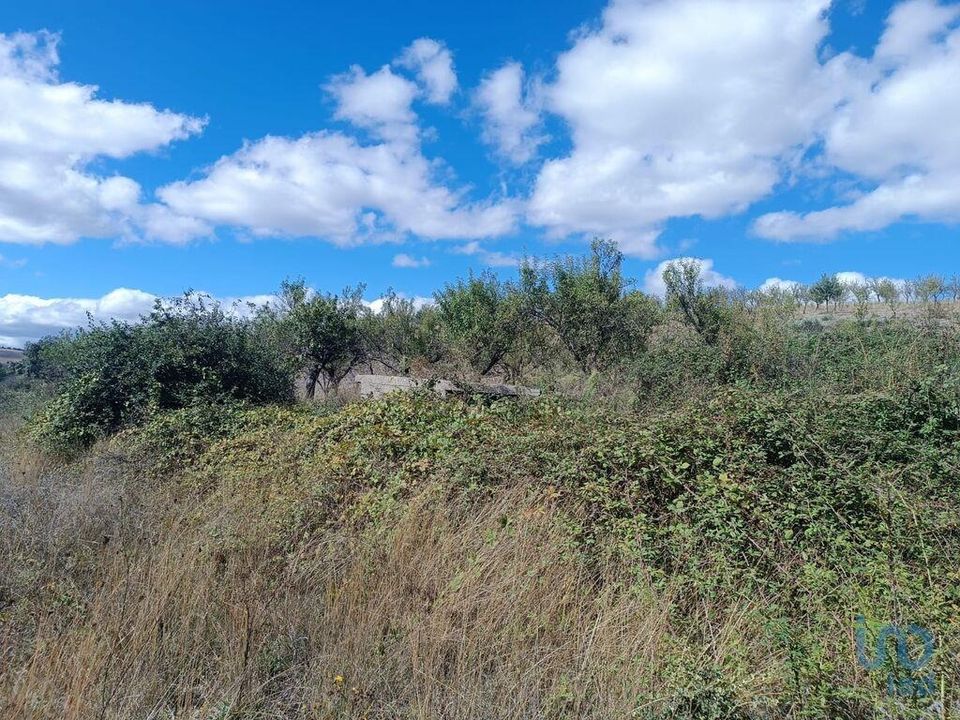 Helårsgrund i Mogadouro, Braganca - foto 3