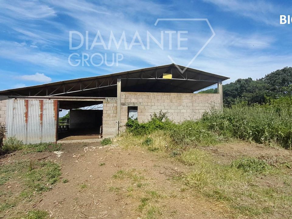 Farm i Manciano, Grosseto - foto 1