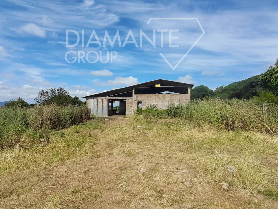 Farm i Manciano, Grosseto - foto 2