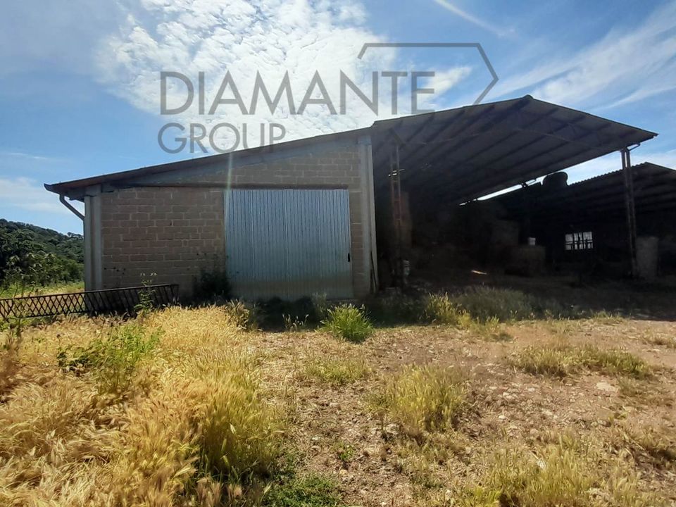 Farm i Manciano, Grosseto - foto 3