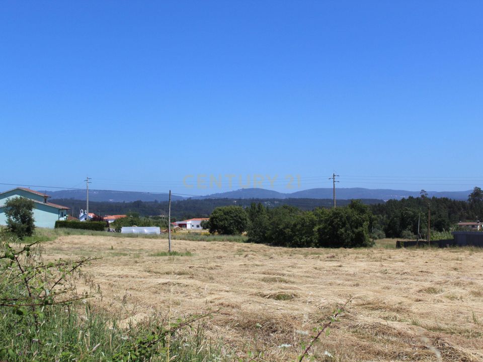 Helårsgrund i Pombal, Leiria - foto 3
