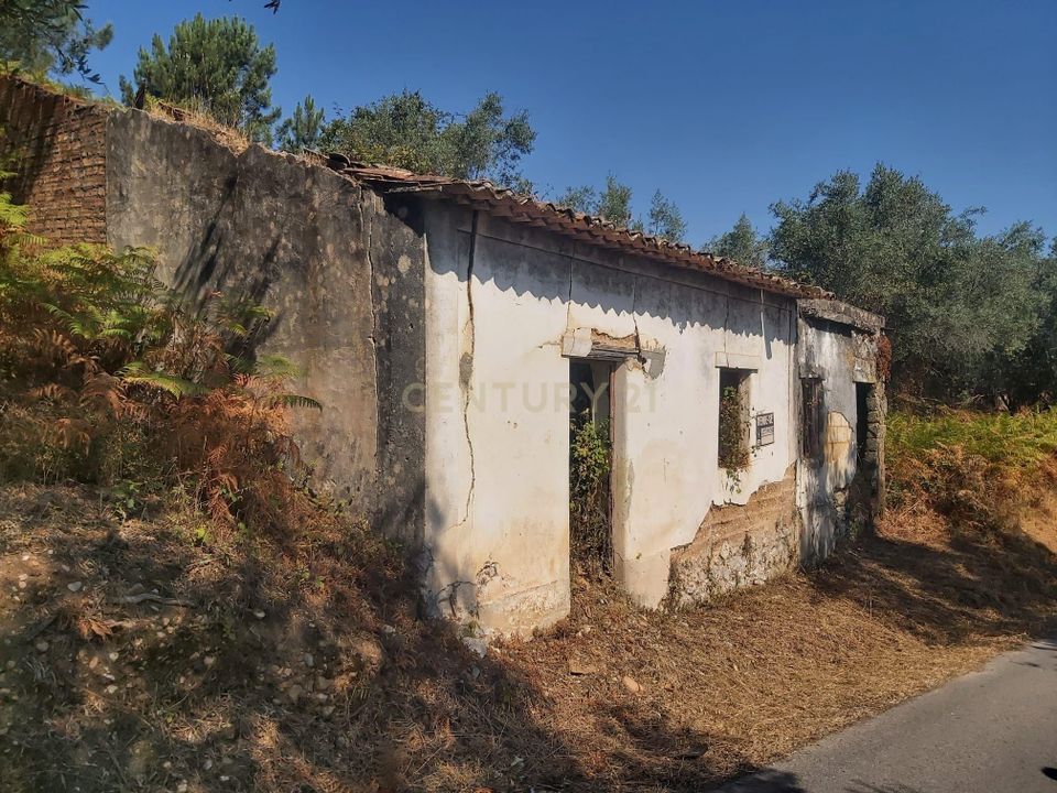 Terra a Freixianda, Santarem - foto 1