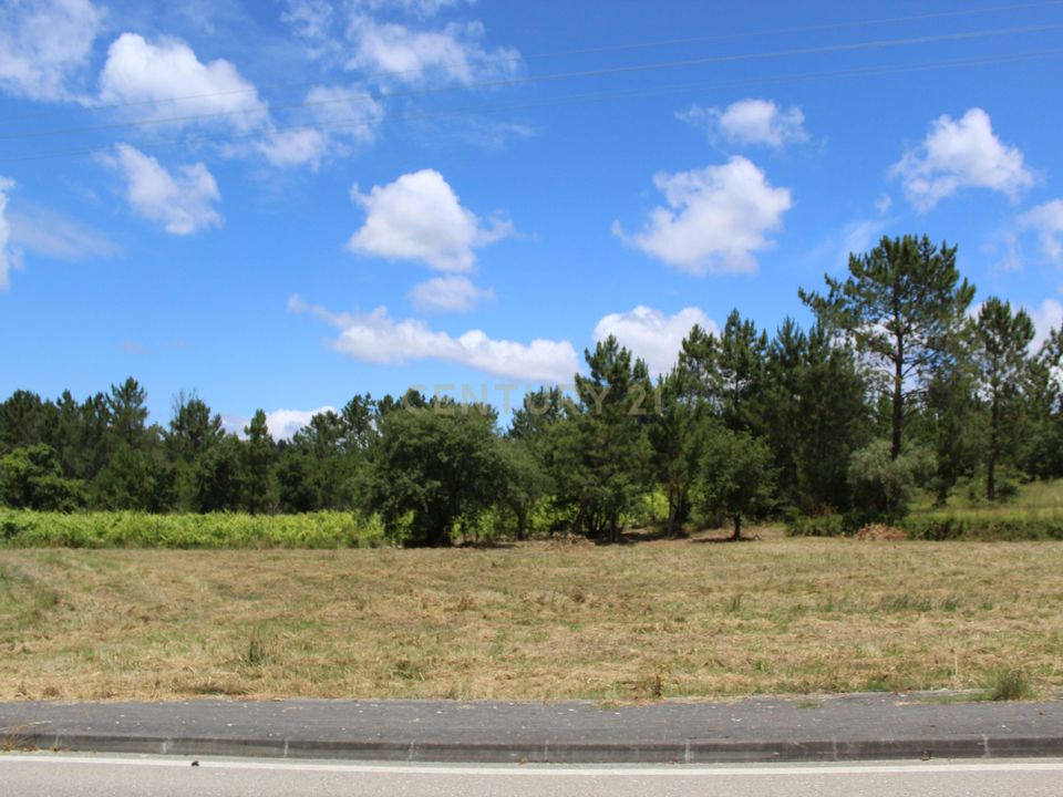 Helårsgrund i Pombal, Leiria - foto 1