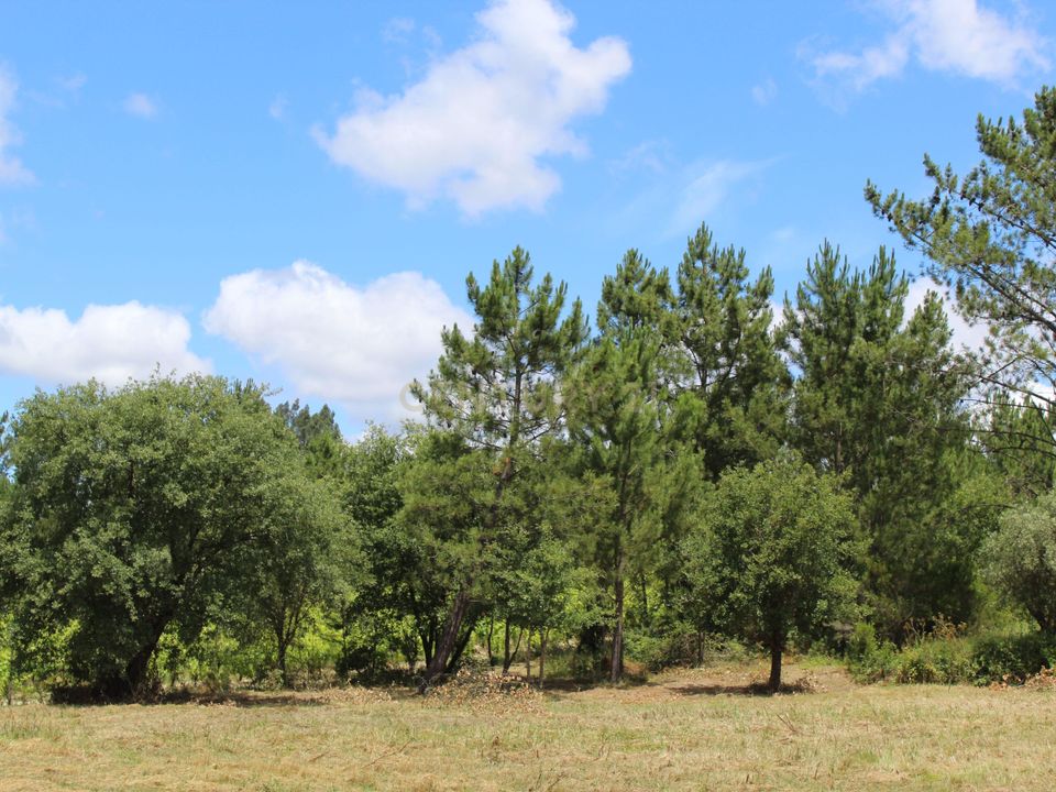 Helårsgrund i Pombal, Leiria - foto 2
