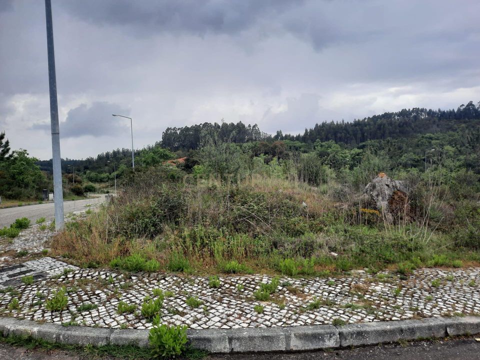 Helårsgrund i Pombal, Leiria - foto 2