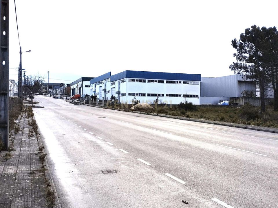 Helårsgrund i Pombal, Leiria - foto 4