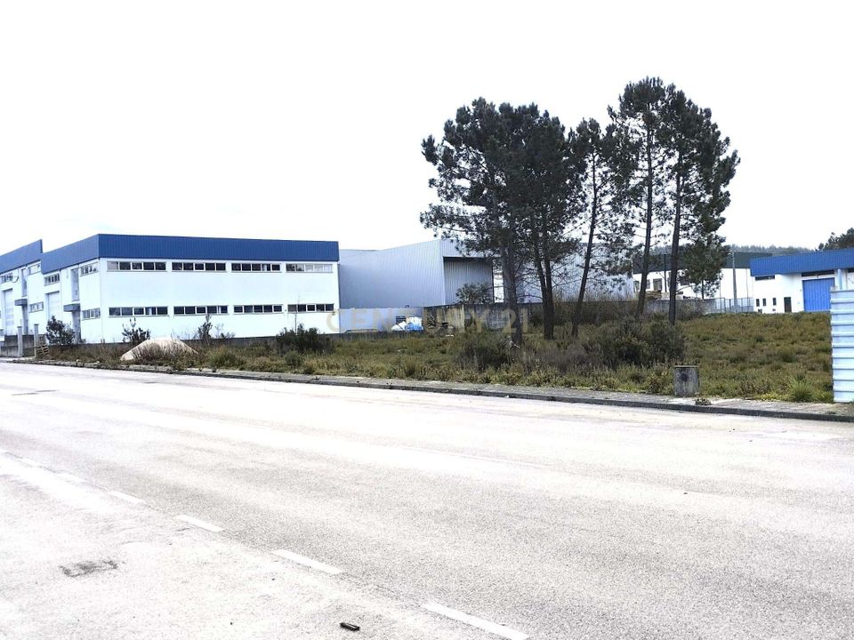 Helårsgrund i Pombal, Leiria - foto 5