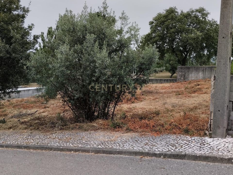 Helårsgrund i Pombal, Leiria - foto 1