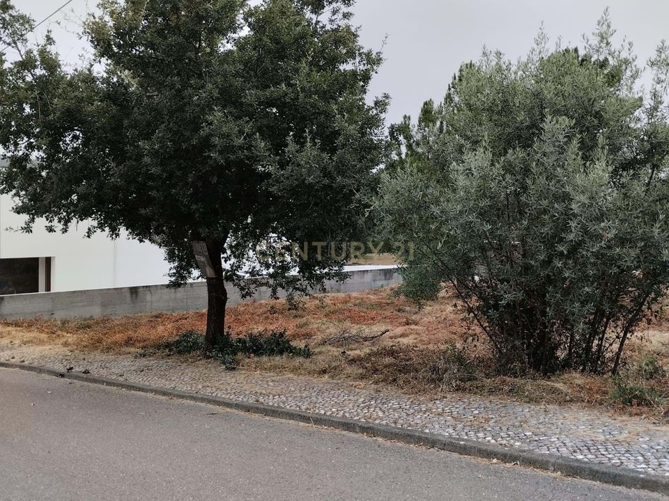 Helårsgrund i Pombal, Leiria - foto 2
