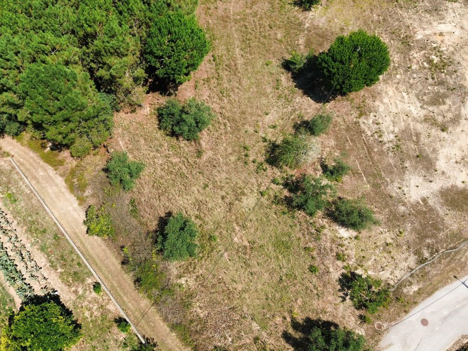 Helårsgrund i Pombal, Leiria - foto 1